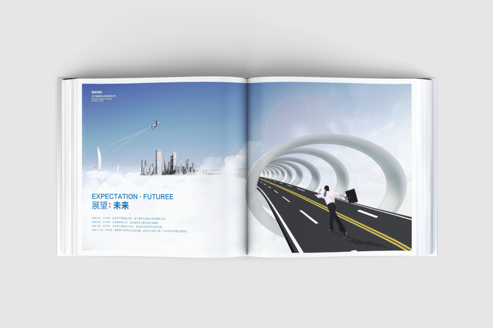 民丰县画册设计